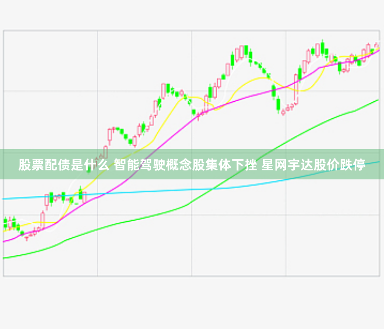 股票配债是什么 智能驾驶概念股集体下挫 星网宇达股价跌停